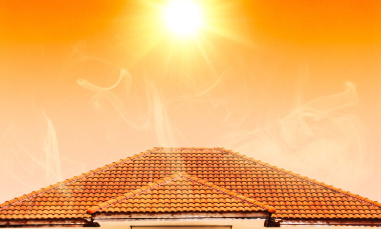 6 Tips To Protect You From The Texas Sun
